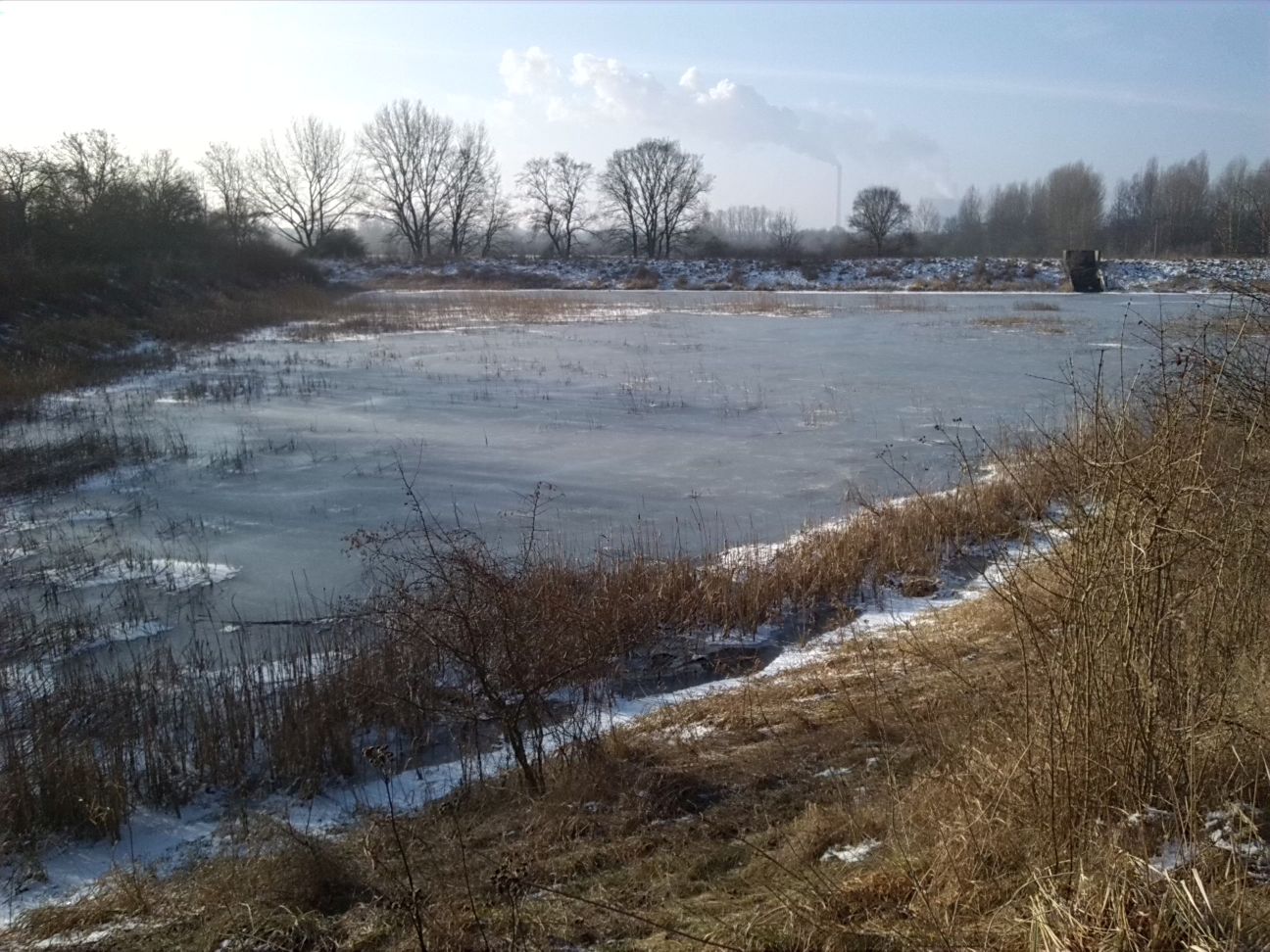 3-Blick Ins Infiltrationsbecken Südlich Flutgraben Weße-Elster (2)