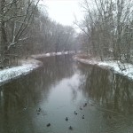 3-Peiußnitzinsel Wilde Saale Blick Von Brücke Zu Gimritzer Damm Nach Süden Flussaufwärts (1)