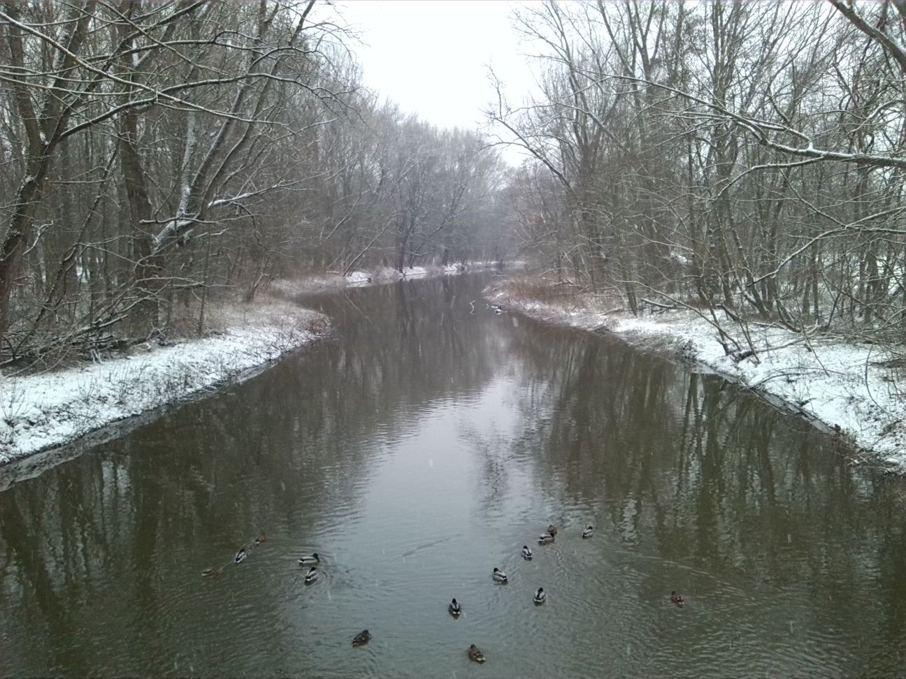 3-Peiußnitzinsel Wilde Saale Blick Von Brücke Zu Gimritzer Damm Nach Süden Flussaufwärts (1)