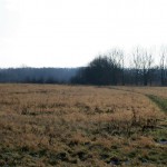 30-Am Weg Zwischen Zum Teich & Äußere Lettiner Straße Blick Nach Süden In Richtung NSG Brandberge & LSG Dölauer Heide