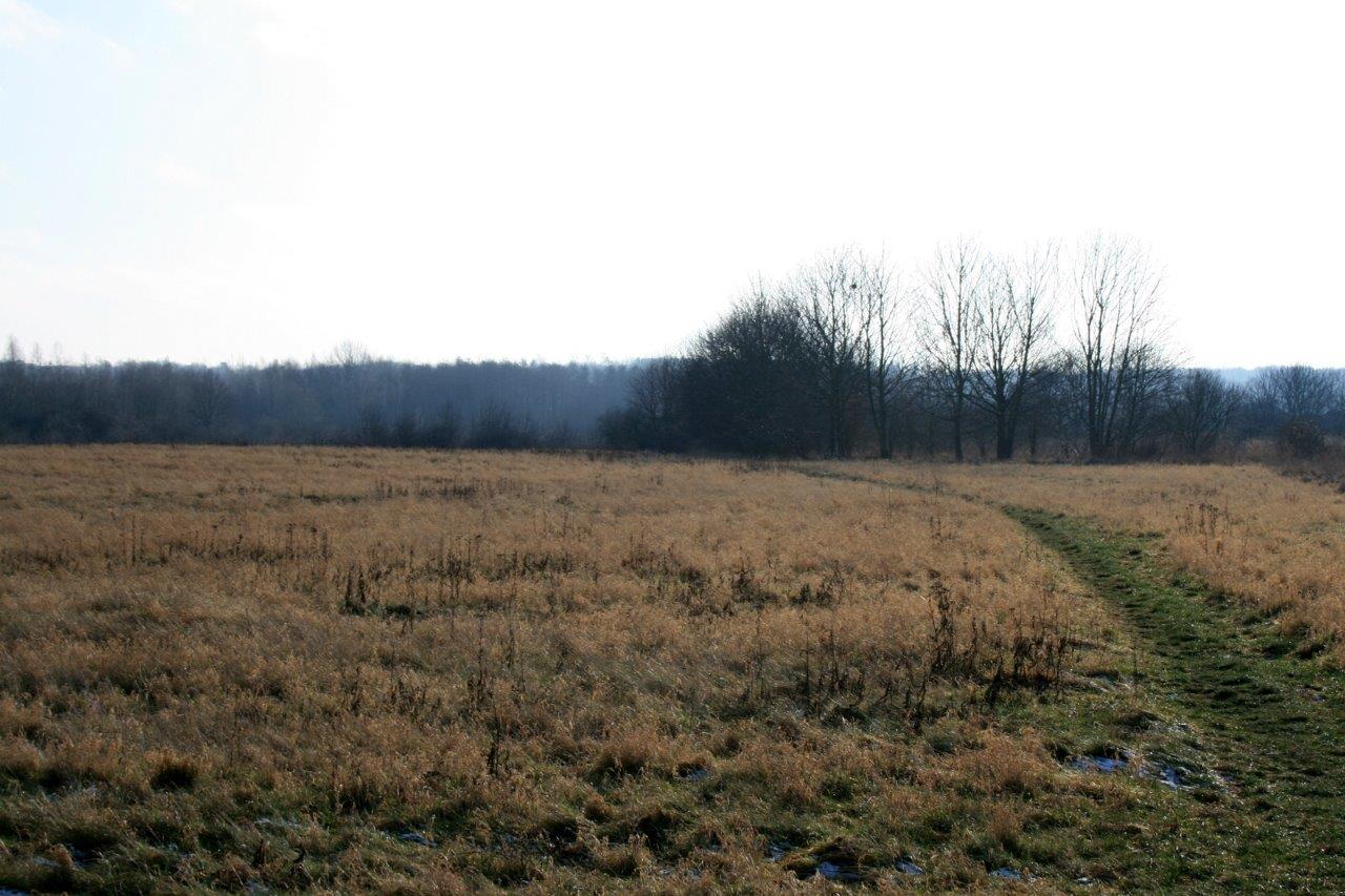 30-Am Weg Zwischen Zum Teich & Äußere Lettiner Straße Blick Nach Süden In Richtung NSG Brandberge & LSG Dölauer Heide