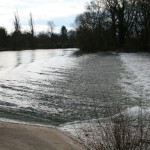 30-Rabeninsel Südspitze Blick Nach Süden Zu Wehr Stromsaale Zu Wilde Saale