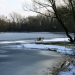 35-Kiesgrube Kröllwitz Blick Vom Westrand Nach Osten