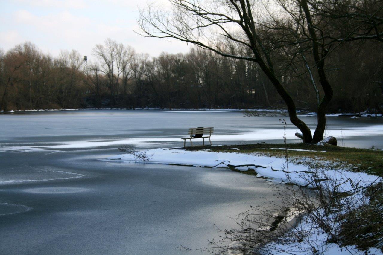 35-Kiesgrube Kröllwitz Blick Vom Westrand Nach Osten