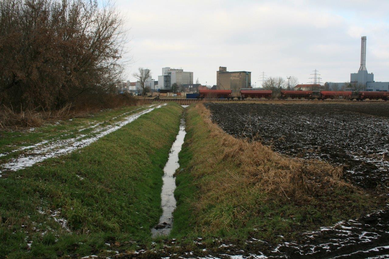 39-WestteilS aalwerder Kröllwitzer Graben Abwärts Nach Norden Unweit Einmündung Saale Hintergrund Hafen & Kraftwerk Nord