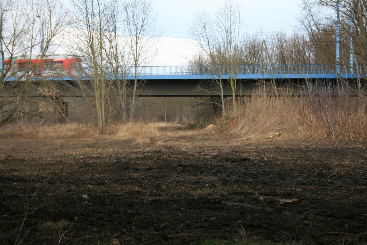 4-Saaleufer Unter Hochstraße Blick Nach Norden & Brücke Mansfelder Straße
