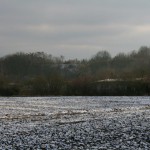 41-Blick Zum Südteil Saalwerder MitKleingärten & Donnersberg