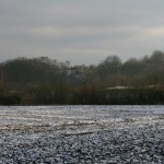 41-Blick Zum Südteil Saalwerder MitKleingärten & Donnersberg