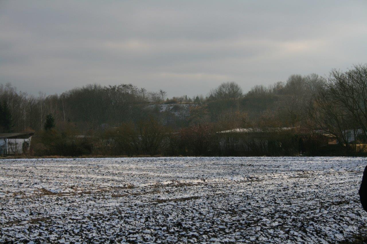 41-Blick Zum Südteil Saalwerder MitKleingärten & Donnersberg