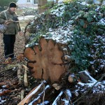 49-GLB Park An Papiermühle Untere Papiermühlenstraße Unweit Talstraße