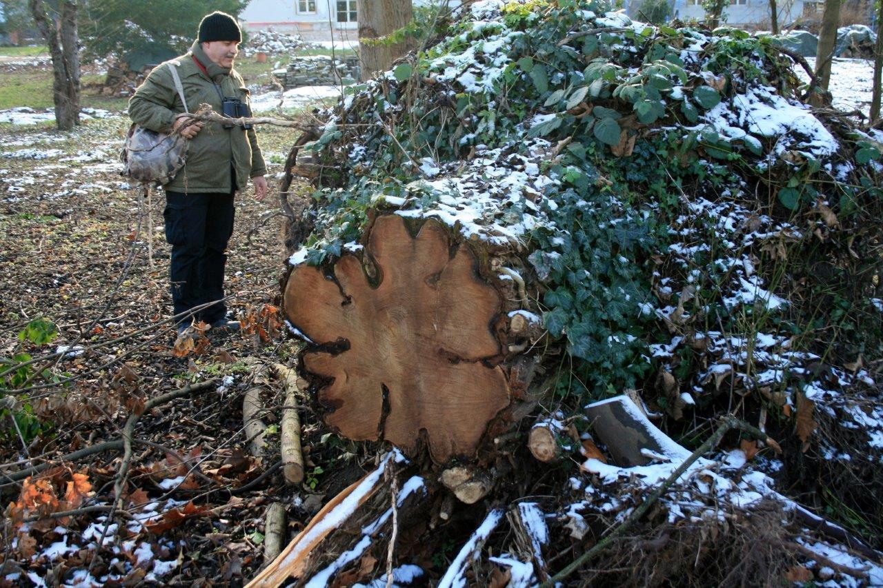 49-GLB Park An Papiermühle Untere Papiermühlenstraße Unweit Talstraße