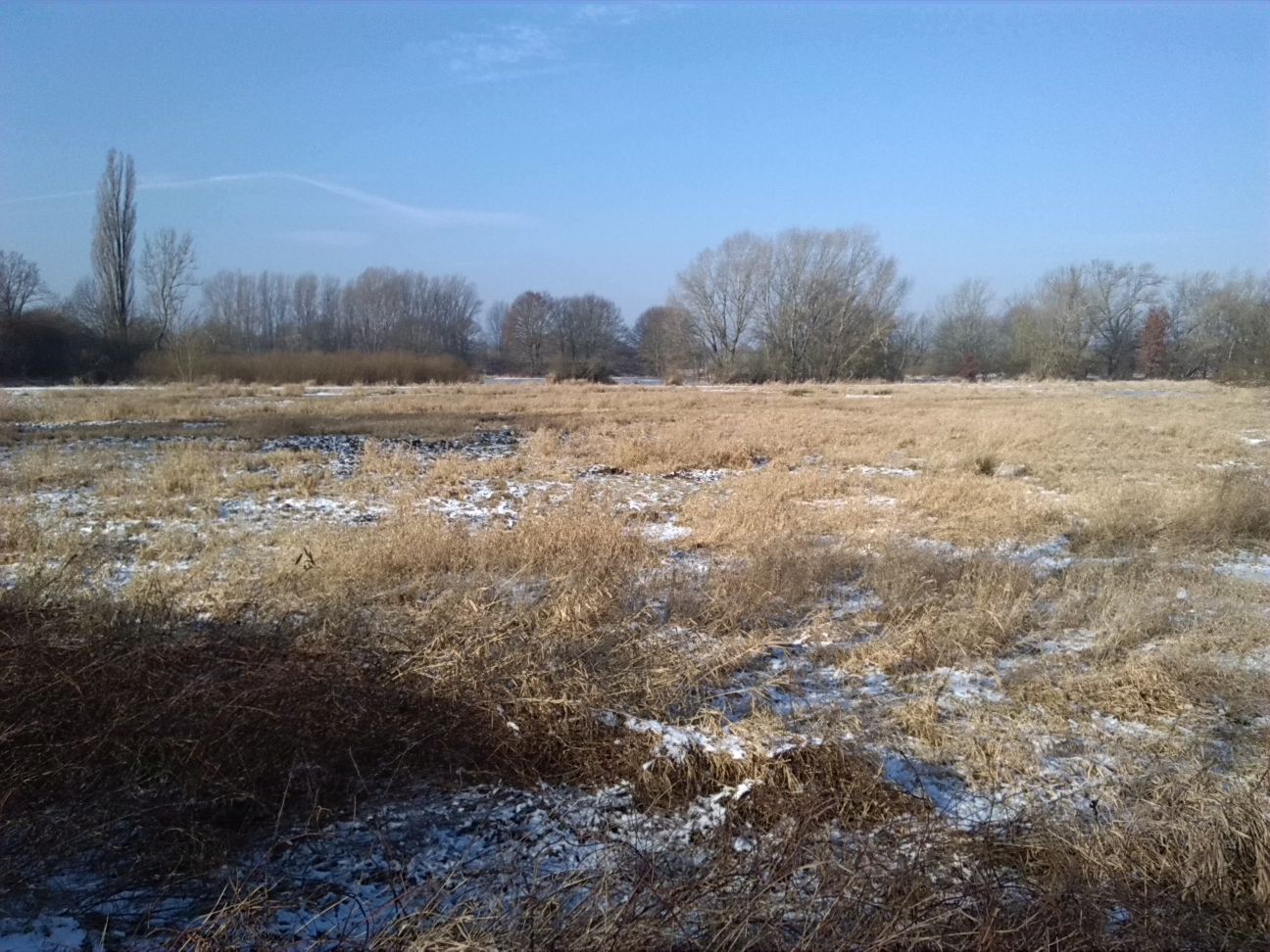 5-Blick Von Weg Von Merseburger Straße Nach Nordwesten Zu Aue Am Weg Zu Schafbrücke (1)