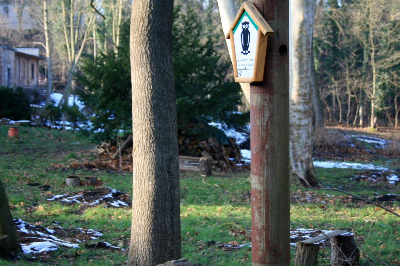 51-GLB Park An Papiermühle Unweit Von Ecke Unterer Papiermühlenstraße & Talstraße