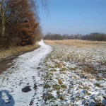 6-Blick Auf Weg Zu Schafbrücke Nach Norden (1)