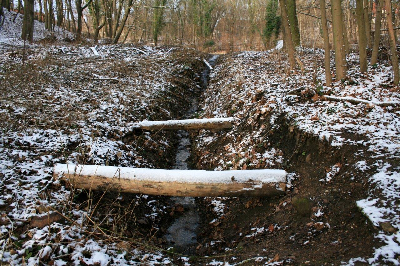 6-GLB Amselgrund & Kreuzer Teiche Abflussgraben Unterer Teich