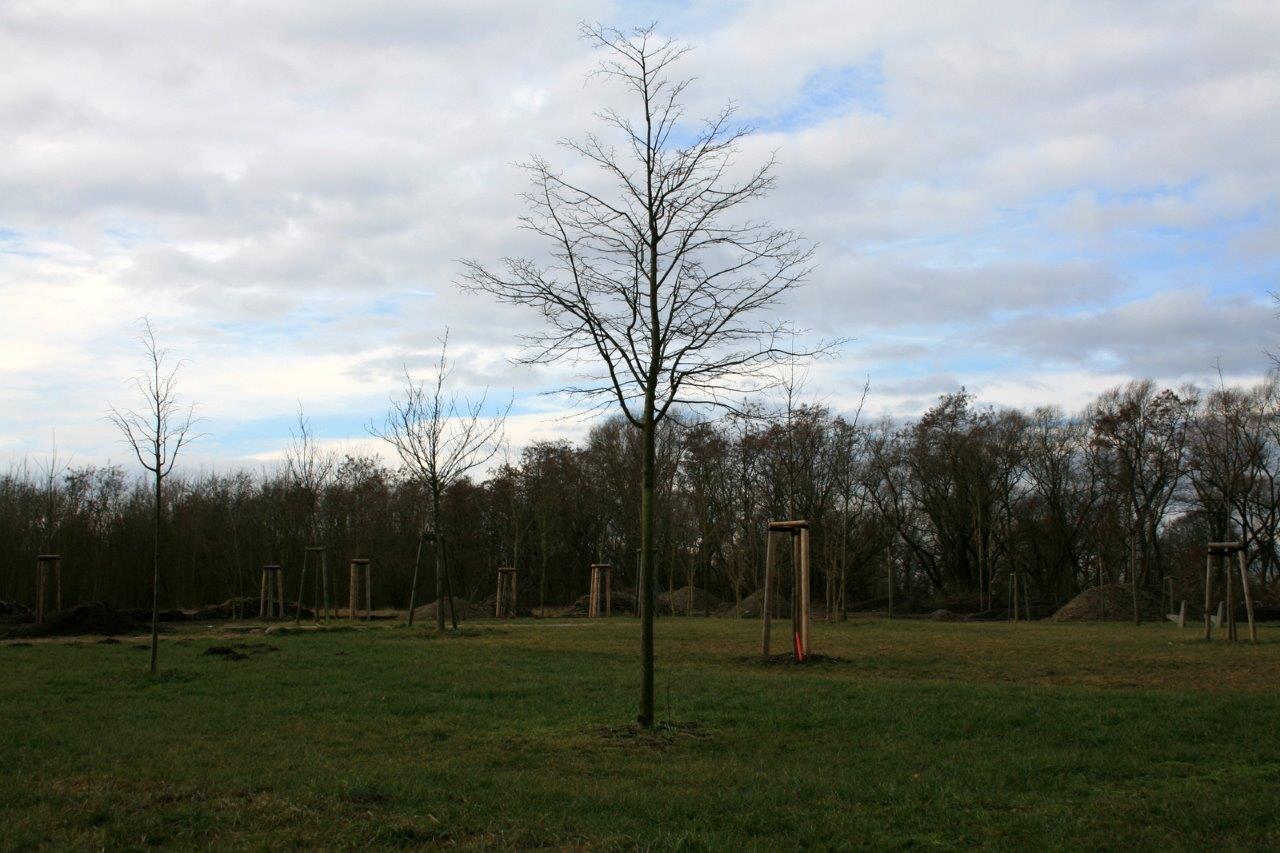 7-Holzplatz Park Des Hoffens