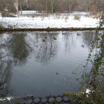 8-Blick Zu Geisel Nach Norden Vor Einmündung In Hinteren Gotthardteich (2)