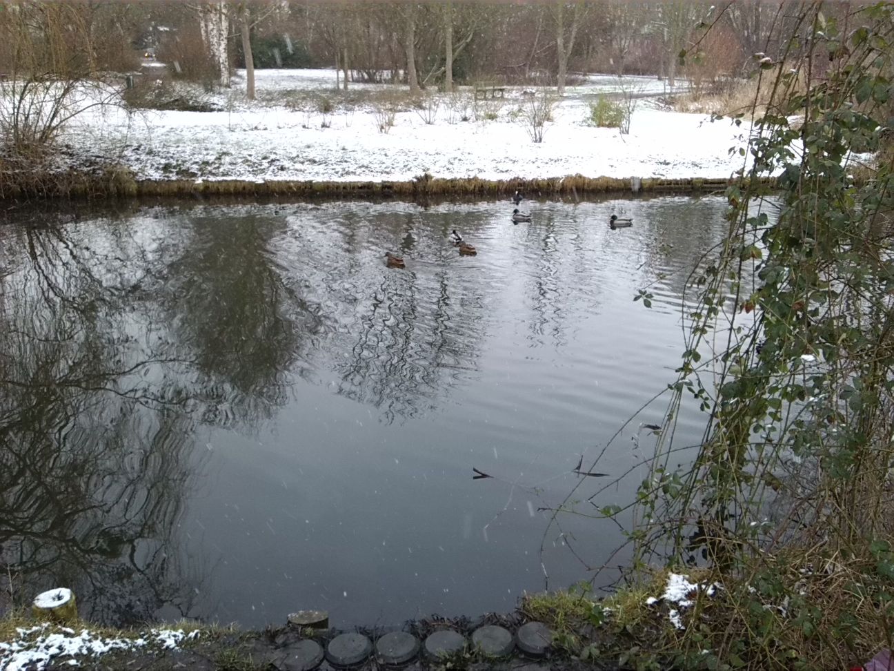 8-Blick Zu Geisel Nach Norden Vor Einmündung In Hinteren Gotthardteich (2)