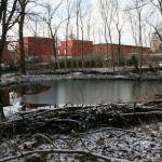 8-GLB Amselgrund & Kreuzer Teiche Blick Zu Unterer Teich Von Osten