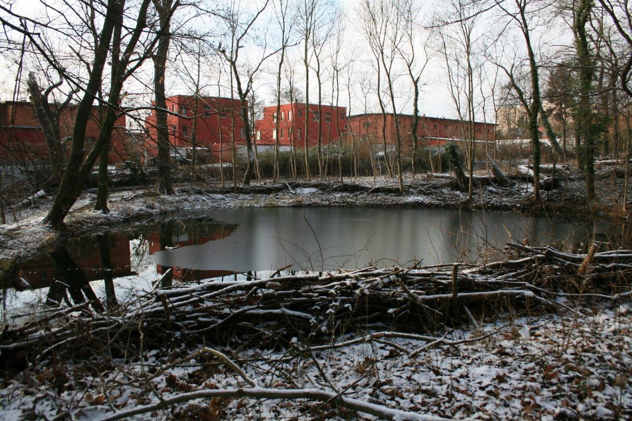8-GLB Amselgrund & Kreuzer Teiche Blick Zu Unterer Teich Von Osten