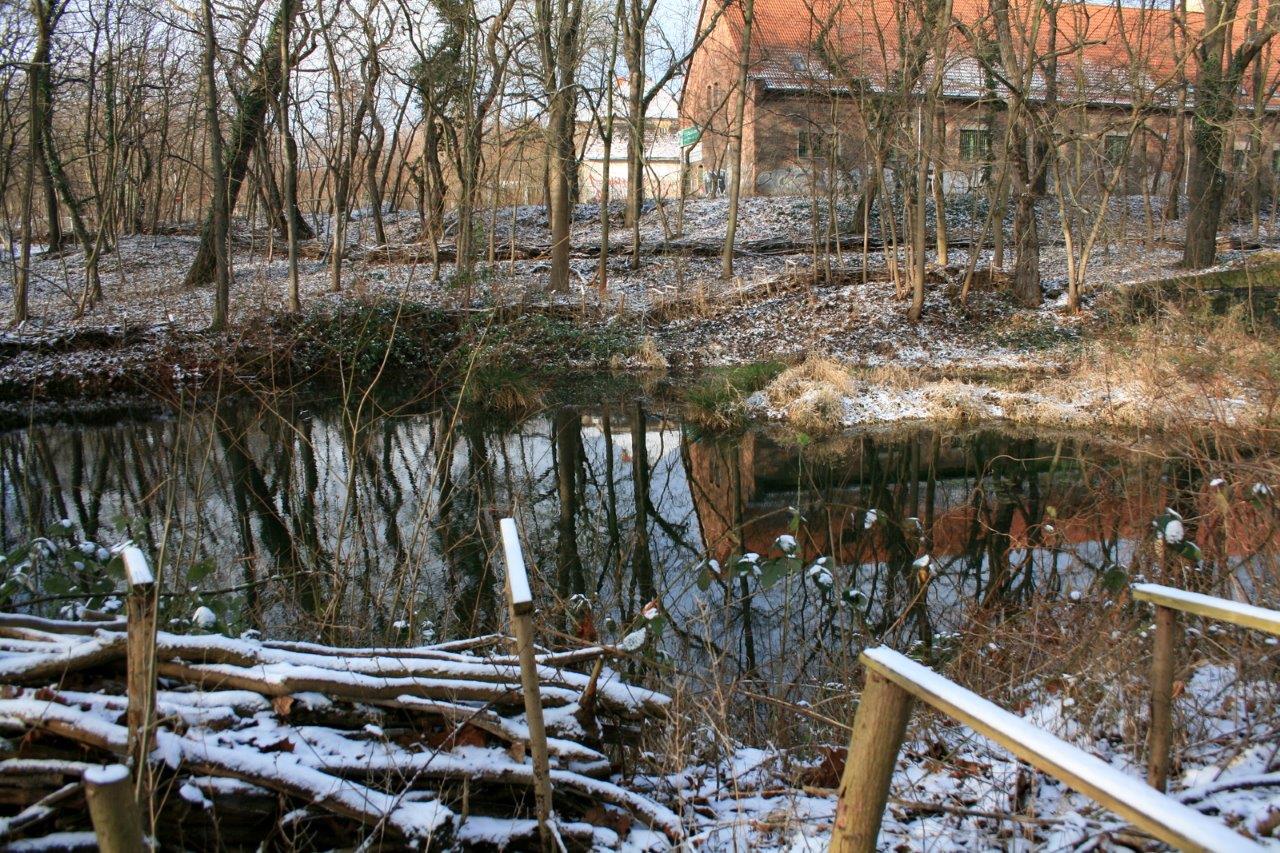 9-GLB Amselgrund & Kreuzer Teiche Blick Zu Oberen Teich Von Südosten
