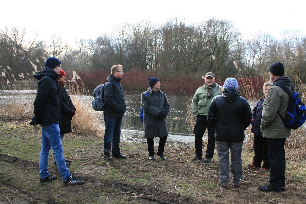 9-Pulverweiden Südteil Am Teich