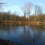 1-Blick Von Bootsanlegesteg Ziegelwiese Über Saale Nach Südwesten Zu Peißnitz (1)