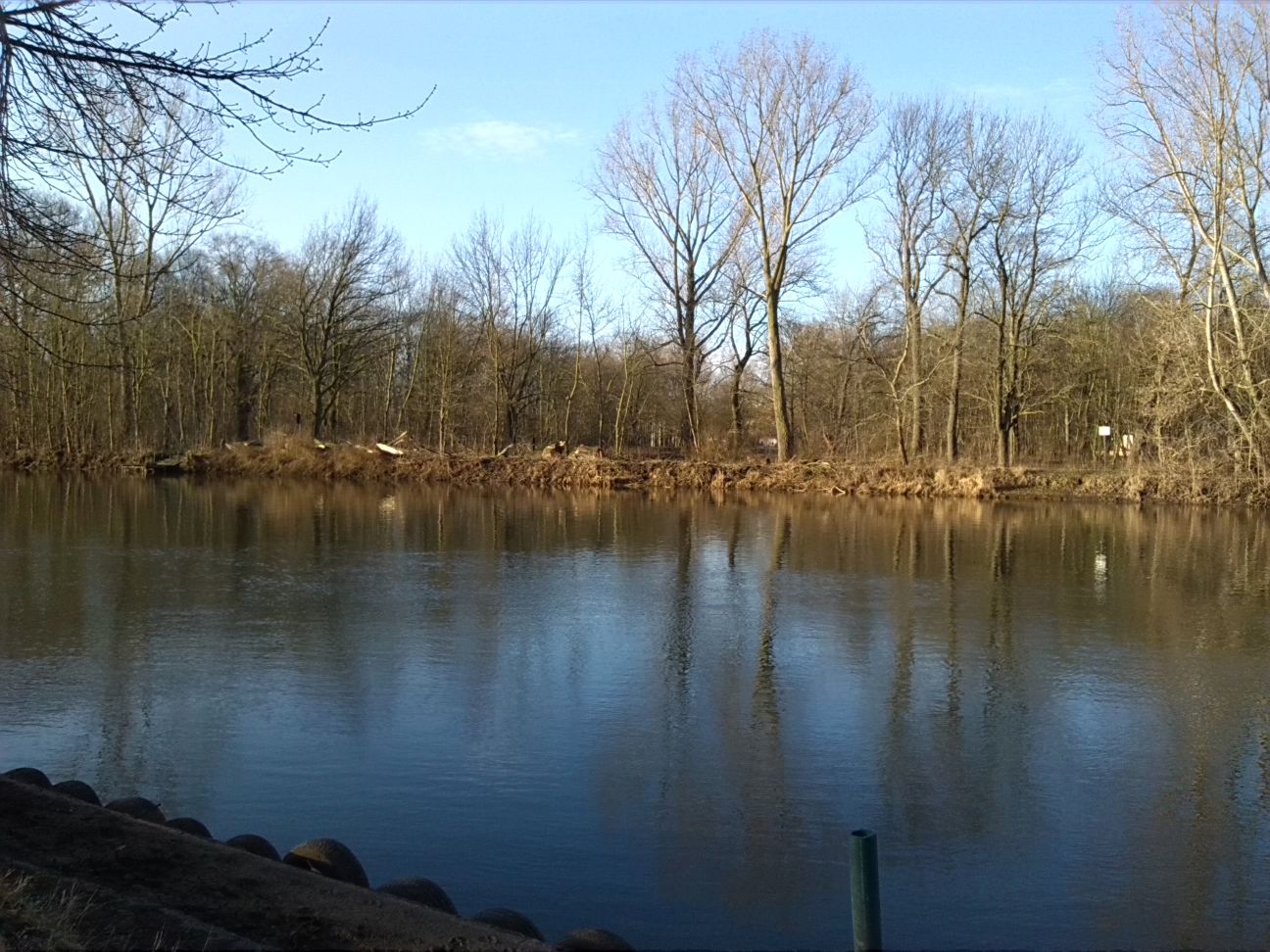 1-Blick Von Bootsanlegesteg Ziegelwiese Über Saale Nach Südwesten Zu Peißnitz (1)