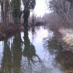 102-Merseburg Gelände Königsmühle Blick Mühlgraben Nach Süden (1)