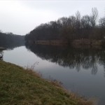 111-Merseburg Blick Über Saale Nach Hordosten Zu Hohndorfer Holz (2)