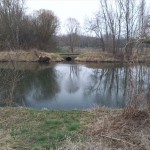 117-Schkopau Blick Zu Mündung Laucha In Saale Von Nordost Nach Südwest Von Straße Nach Kollenbey (1)