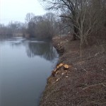 118-Abholzungen Saale Unterhalb Brücke Merseburger Straße & Planenaer Landstraße (1)