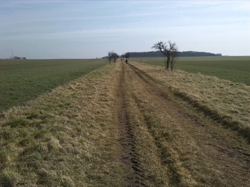 3-Brachstedt Weg Burgstetten Wurp Blick Nach Osten Zum Burgstettenwald  (2)