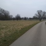 30-Streuobstwiese Südöstlich Großkorbetha Blick Von Süden Nach Norden (1)