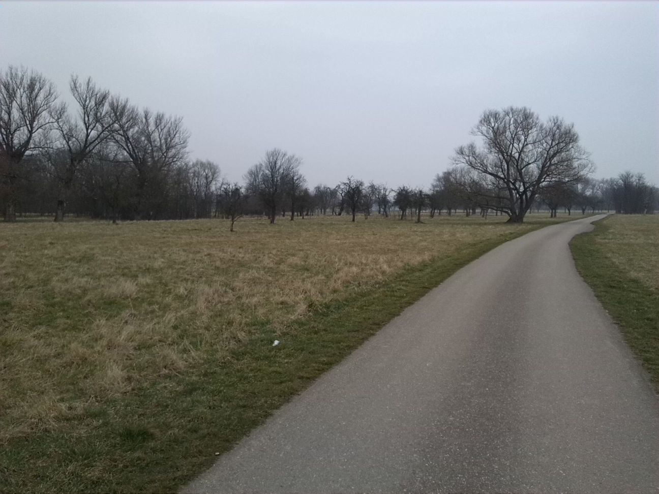 30-Streuobstwiese Südöstlich Großkorbetha Blick Von Süden Nach Norden (1)