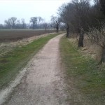 37-Wassergebundener Radwanderweg Zwischen Kleinkorbetha & Bad Dürrenberg Außerhalb Ortslage Kleinkorbetha (2)