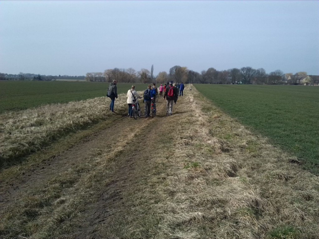 4-Brachstedt Weg Burgstetten Wurp Blick Nach Westen Nach Wurp  (1)