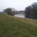 47-Saaleaue Zwischen Wölkau & Kreypau Blick Von Nordwesten Nach Südosten Saaleaufwärts Nach Wölkau (1)