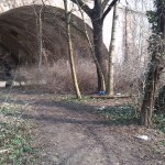 5-Weißenfels Auenwald Westlich Große Brücke & Südlich Eisenbahnstrecke Ostteil Blick Nach Norden Zu Eisernbahnbrücke (1)