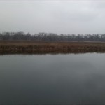 65-Leuna Blick Nach Südosten Feld Nordwestlich GöhlitzscherH olz (2)