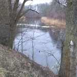 76-Leuna Saalealtarm Nordrand Göhlitzscher Holz Blick Süden (3)