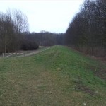 92-Merseburg Blick Von Nordwest Nach Südost Zu Fasanerie (1)