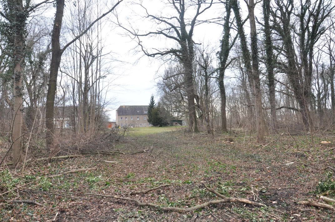 Schutz und Erhalt des Zörbiger Strengbaches sowie der Parkan-lagen in Dammendorf und Quetz Bild 3