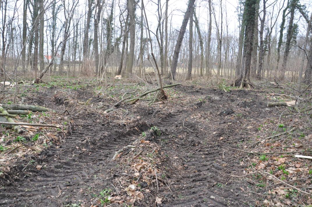 Schutz und Erhalt des Zörbiger Strengbaches sowie der Parkan-lagen in Dammendorf und Quetz Bild 4