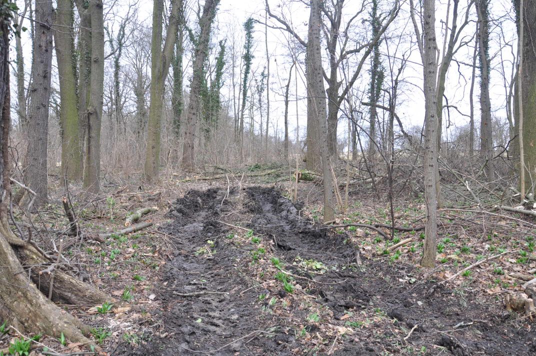 Schutz und Erhalt des Zörbiger Strengbaches sowie der Parkan-lagen in Dammendorf und Quetz Bild 5