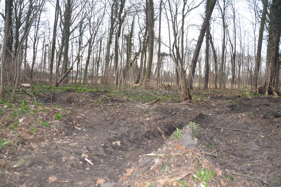Schutz und Erhalt des Zörbiger Strengbaches sowie der Parkan-lagen in Dammendorf und Quetz Bild 7