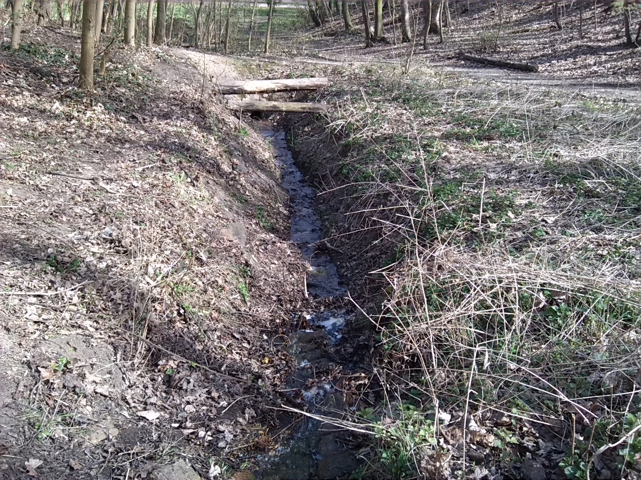 10-Abfluss Von Unteren Kreuzer Teich Oberer Teil Blick Nach Süden (1a)