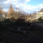 10a-Schleiermacherstraße Blick Über Pauluspark Zu Pauluskirche & Gefällte Robinie & Bergahorn (2)