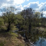 11-Blick Von B184 Auf Muldealtarm Nördlich Schumannskolk