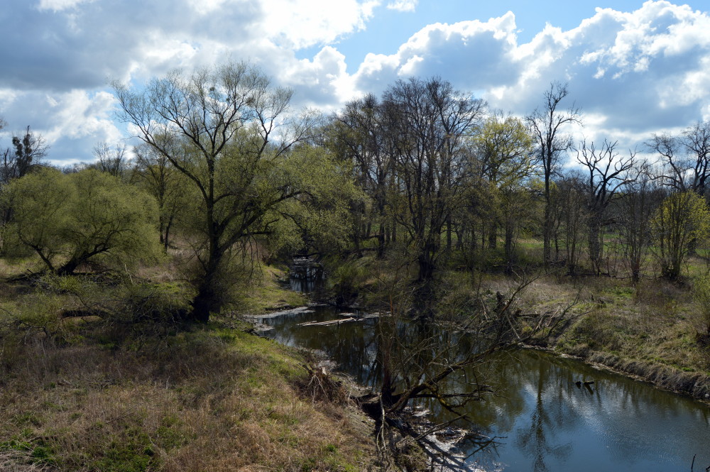 11-Blick Von B184 Auf Muldealtarm Nördlich Schumannskolk